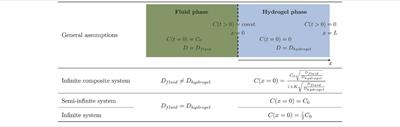 Investigation of Lysozyme Diffusion in Agarose Hydrogels Employing a Microfluidics-Based UV Imaging Approach